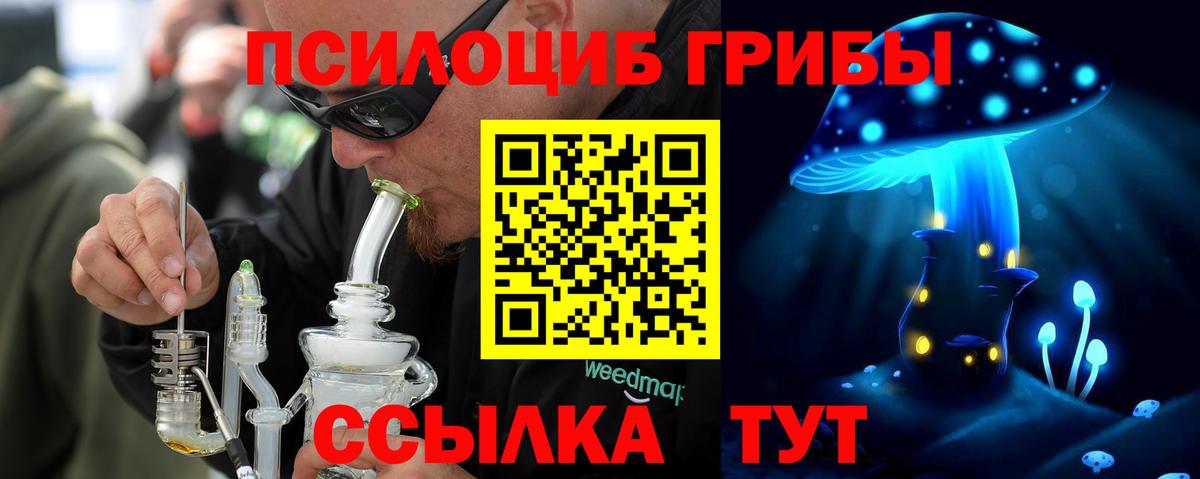где купить наркоту  Вход с VPN  Галлюциногенные грибы мицелий  Печора  Псилоцибиновые грибы Magic Shrooms 